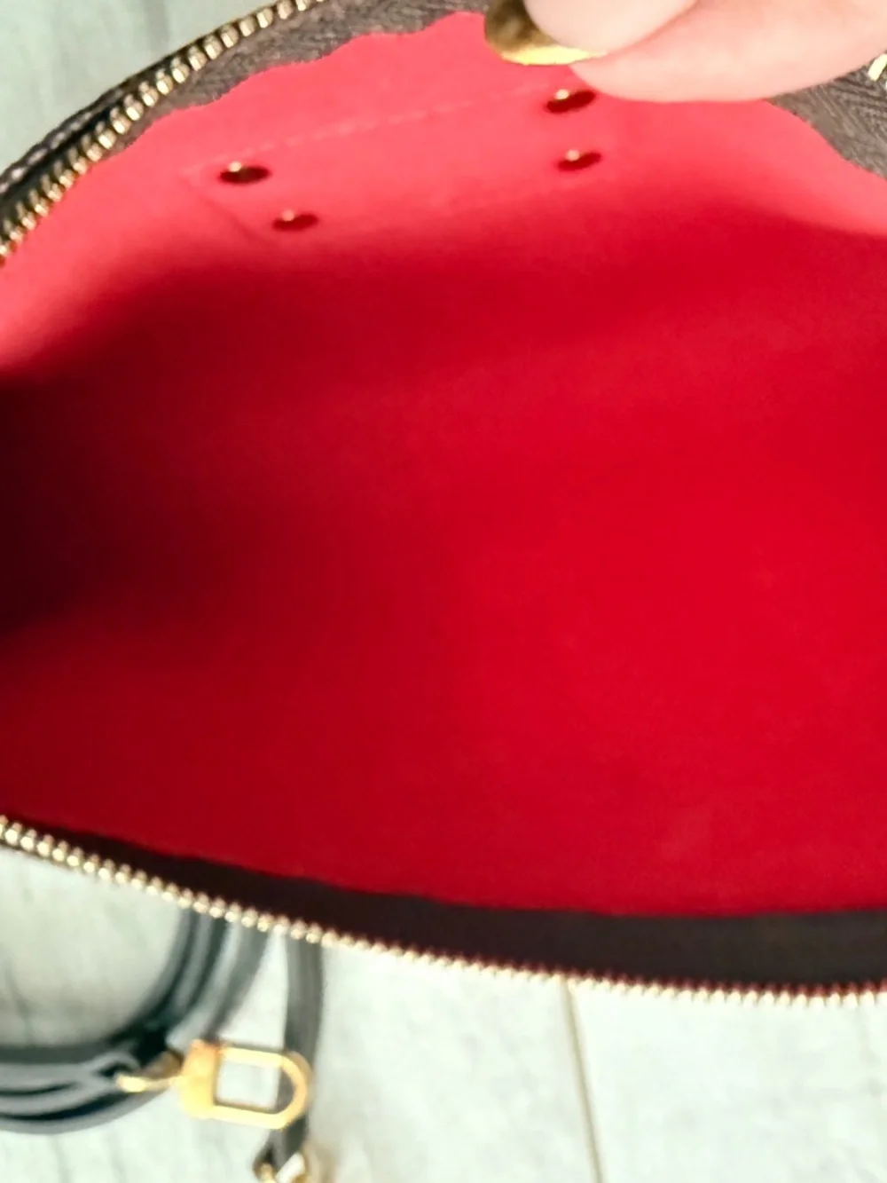 Louis Vuitton Eva Clutch.